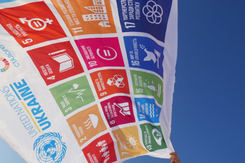 UN in Ukraine/2014