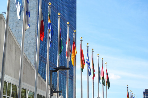 United Nations flags